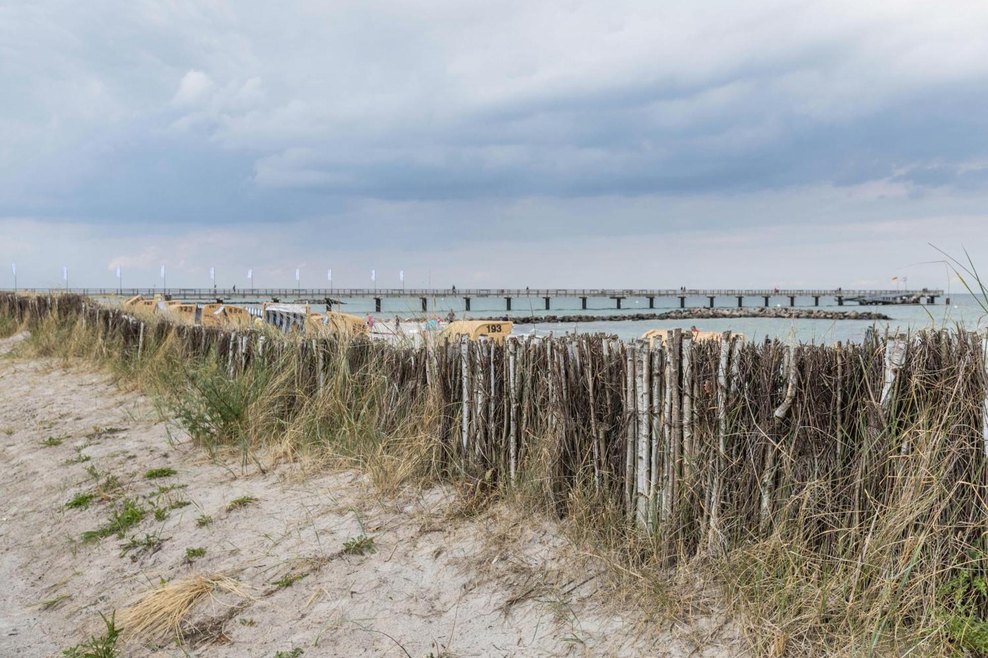 Treibholz - Feriendomizil Ostsee Schonberger Strand Esterno foto